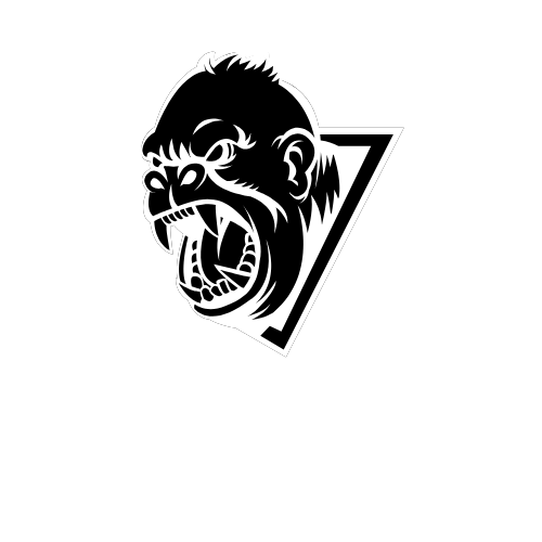 VIGGER